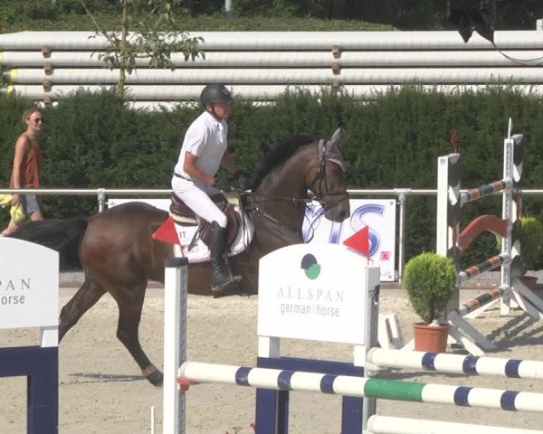 Reitturnier Durmersheim-Hardt 2019