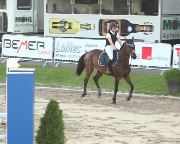 Reitturnier Humlikon 2019