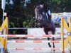 jumper Chester 331 (Oldenburg show jumper, 2012, from Conthargos)