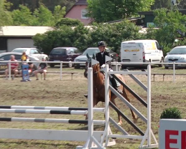 Reitturnier Reckahn 2019