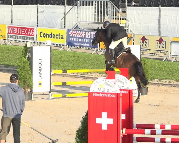 Reitturnier Humlikon 2019