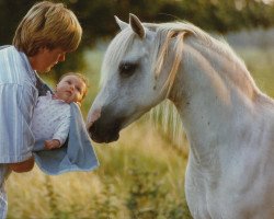 broodmare Escley Catpip (Welsh mountain pony (SEK.A), 1972, from Clan Pip)