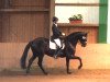 dressage horse Lunatico (Bavarian, 2005, from Licotus)