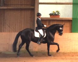 dressage horse Lunatico (Bavarian, 2005, from Licotus)