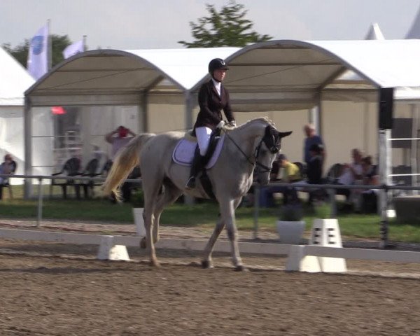 Reitturnier Heinsberg 2019