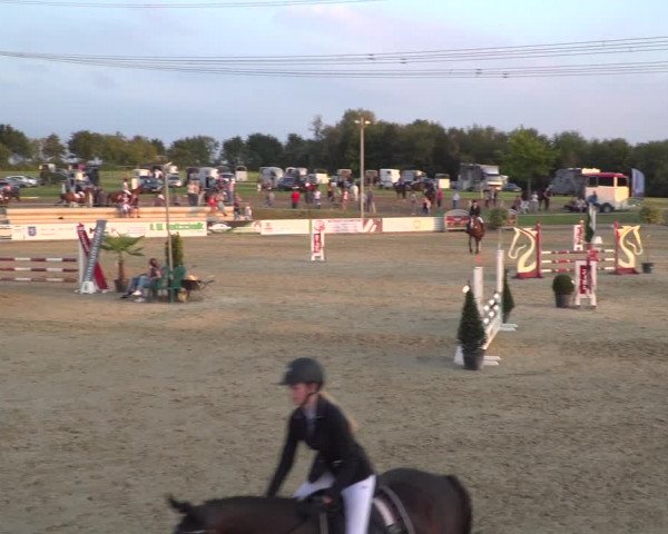 Reitturnier Heinsberg 2019