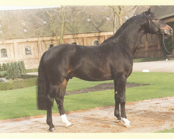 stallion Salamander (Rhinelander, 1992, from Salut)