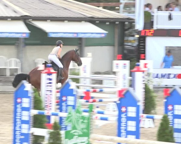 Reitturnier Humlikon 2019