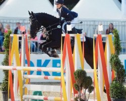 jumper Penelope SG (German Riding Pony, 2011, from Pilatus)