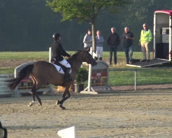 Reitturnier Heinsberg 2019