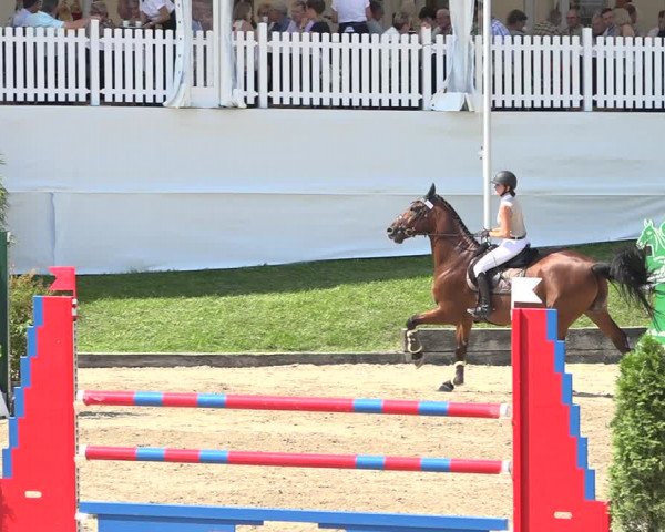 Reitturnier Humlikon 2019