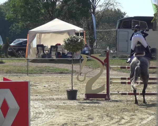 Reitturnier Heinsberg 2019