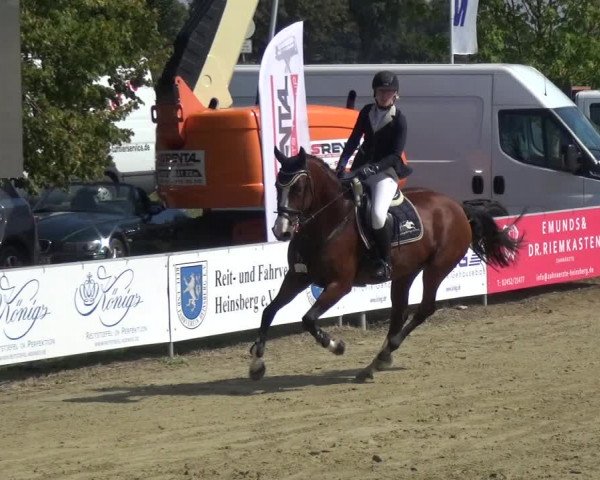 Reitturnier Heinsberg 2019