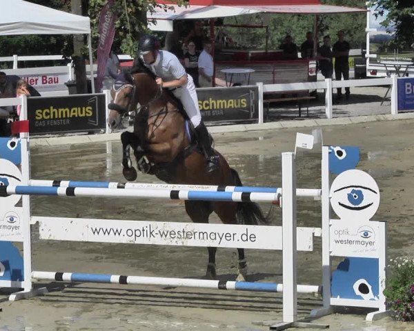Reitturnier Hauerz 2019