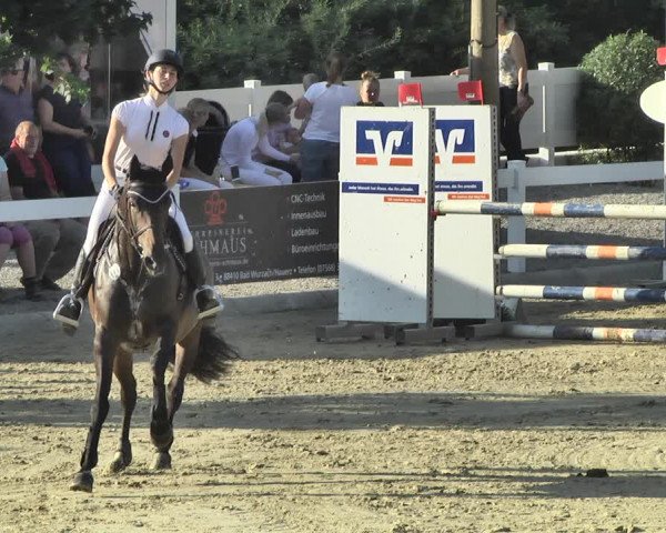 Reitturnier Hauerz 2019