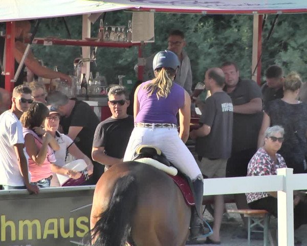 Reitturnier Hauerz 2019