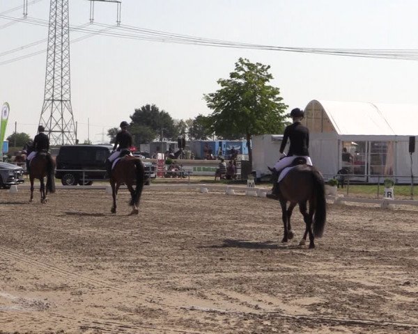 Reitturnier Heinsberg 2019