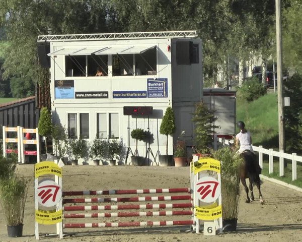 Reitturnier Hauerz 2019
