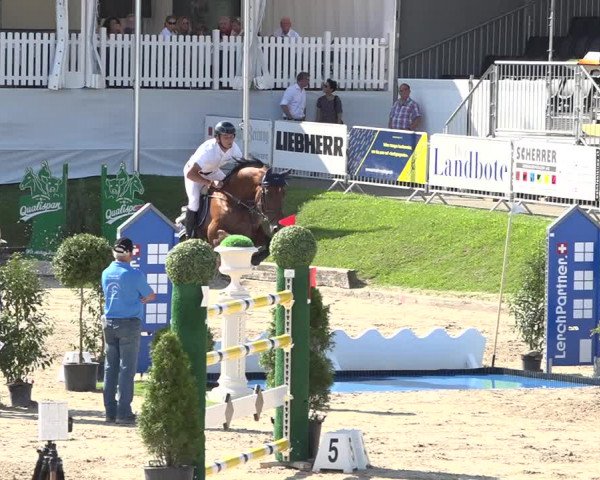 Reitturnier Humlikon 2019