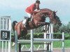 stallion Herannus (Oldenburg, 1989, from Grannus)