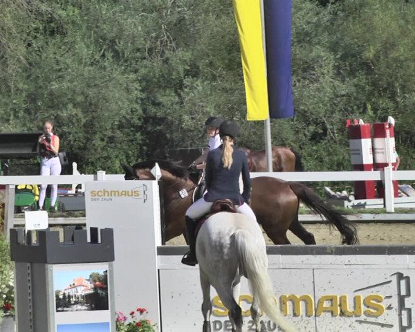Reitturnier Hauerz 2019