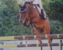 jumper Minerva For Play (German Riding Pony, 2011, from For Next Generation)