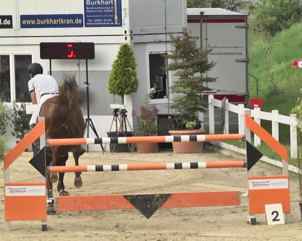 Reitturnier Hauerz 2019