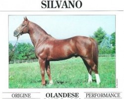 Deckhengst Silvano (KWPN (Niederländisches Warmblut), 1976, von Le Mexico)