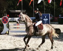 Springpferd Cortez 74 (Ungarisches Warmblut, 2009)