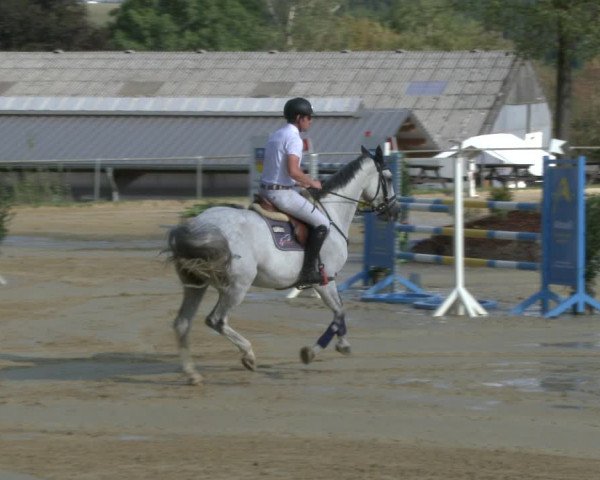 Reitturnier Bühren-Breckerfeld 2019