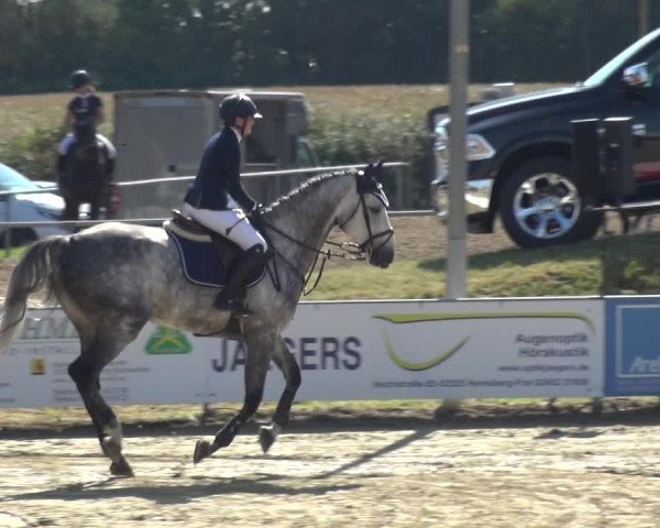 Reitturnier Heinsberg 2019