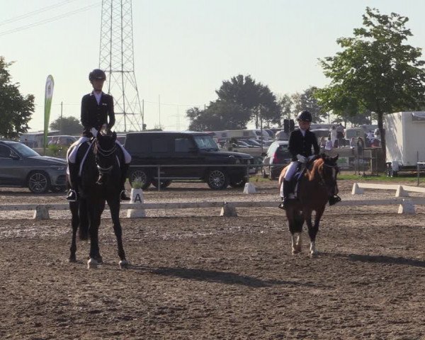 Reitturnier Heinsberg 2019