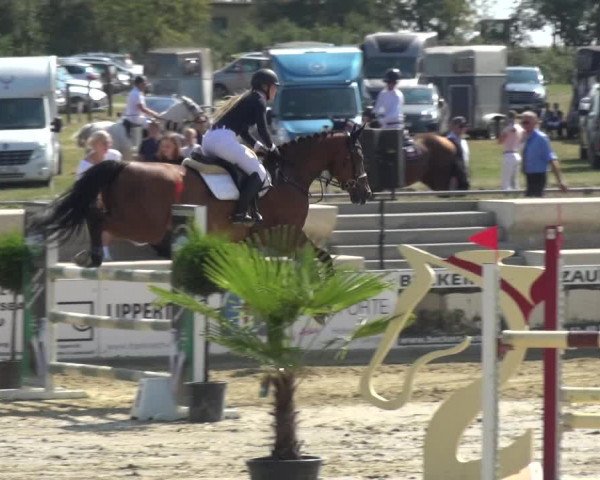 Reitturnier Heinsberg 2019