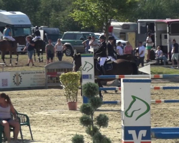 Reitturnier Heinsberg 2019
