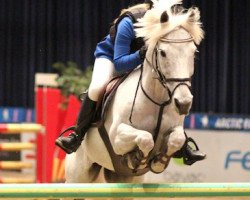 jumper Odd One Out (Irish Sport Horse, 1994)