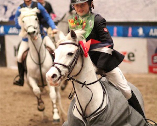 Pferd Hinders Millan (Welsh Pony (Sek.B), 2002, von Paddock Camargue)