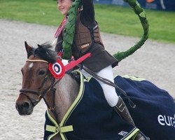 jumper Orlando XI (British Riding Pony, 2002)