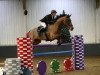 jumper Galano Ter Klomp (Belgian Warmblood, 2006, from Nonstop)