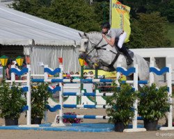 jumper Erasmus van Tenhaegendoorn (Belgian Warmblood, 2004, from President)