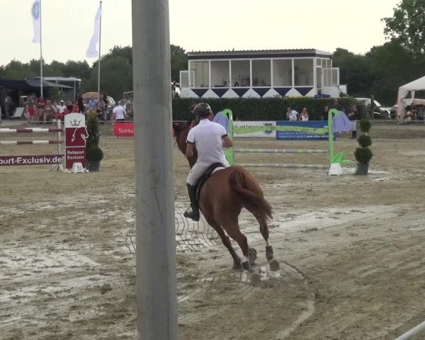Reitturnier Heinsberg 2019