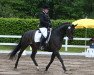 dressage horse Pasticcio (Trakehner, 2010, from Herzog von Nassau)