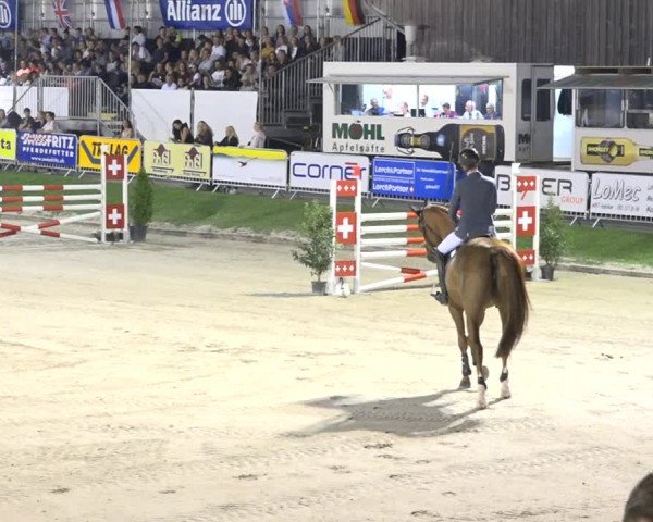 Reitturnier Humlikon 2019