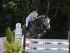 broodmare Coopi (Oldenburg, 2010, from Coupe de Coeur 2)