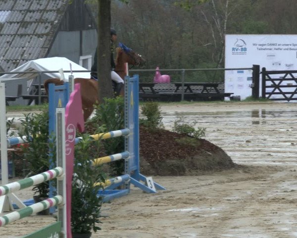 Reitturnier Bühren-Breckerfeld 2019