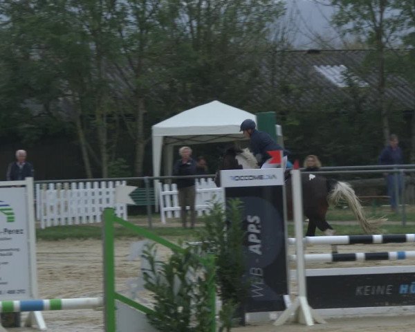 Reitturnier Bühren-Breckerfeld 2019