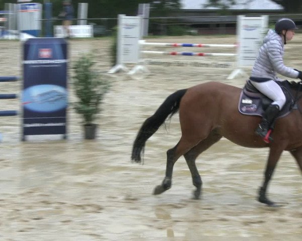 Reitturnier Bühren-Breckerfeld 2019