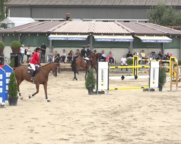 Reitturnier Humlikon 2019