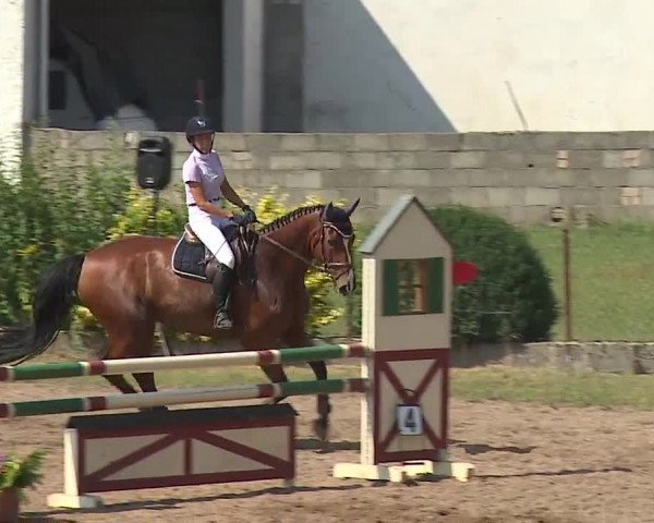 Reitturnier Demantsfürth/Mfr. 2019