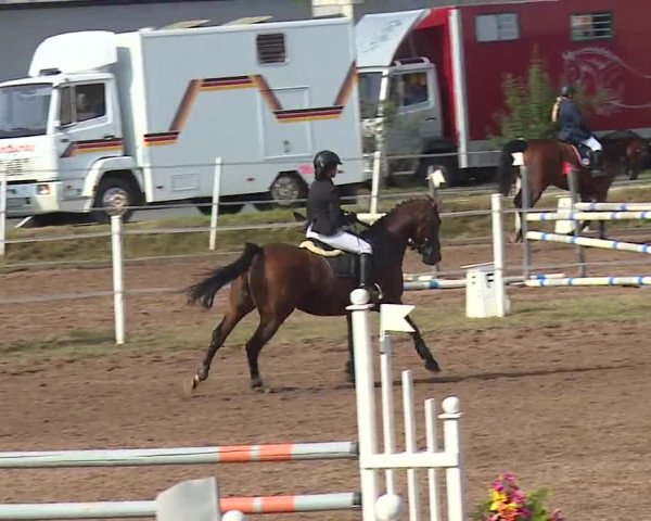 Reitturnier Demantsfürth/Mfr. 2019