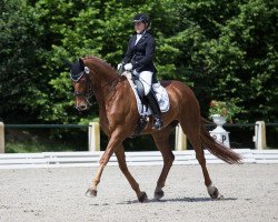 broodmare Rubaya (Hanoverian, 2004, from Rubin Royal OLD)